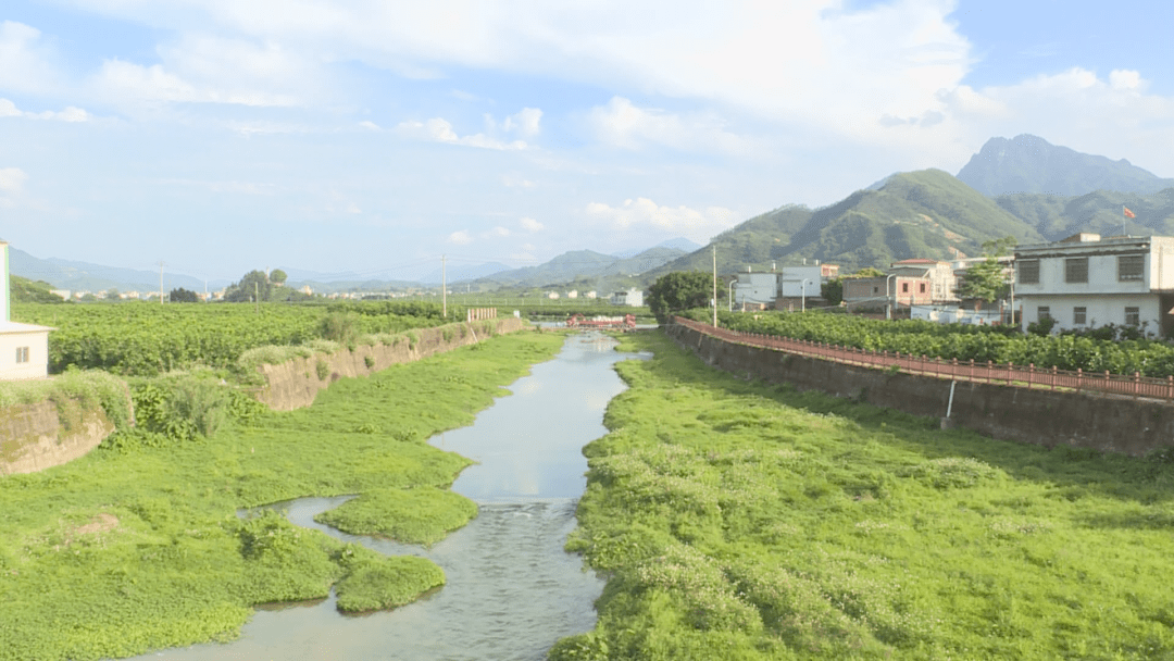 【生态环境保护】南胜镇锚定目标 提高治水效能67_水质_进行_工程