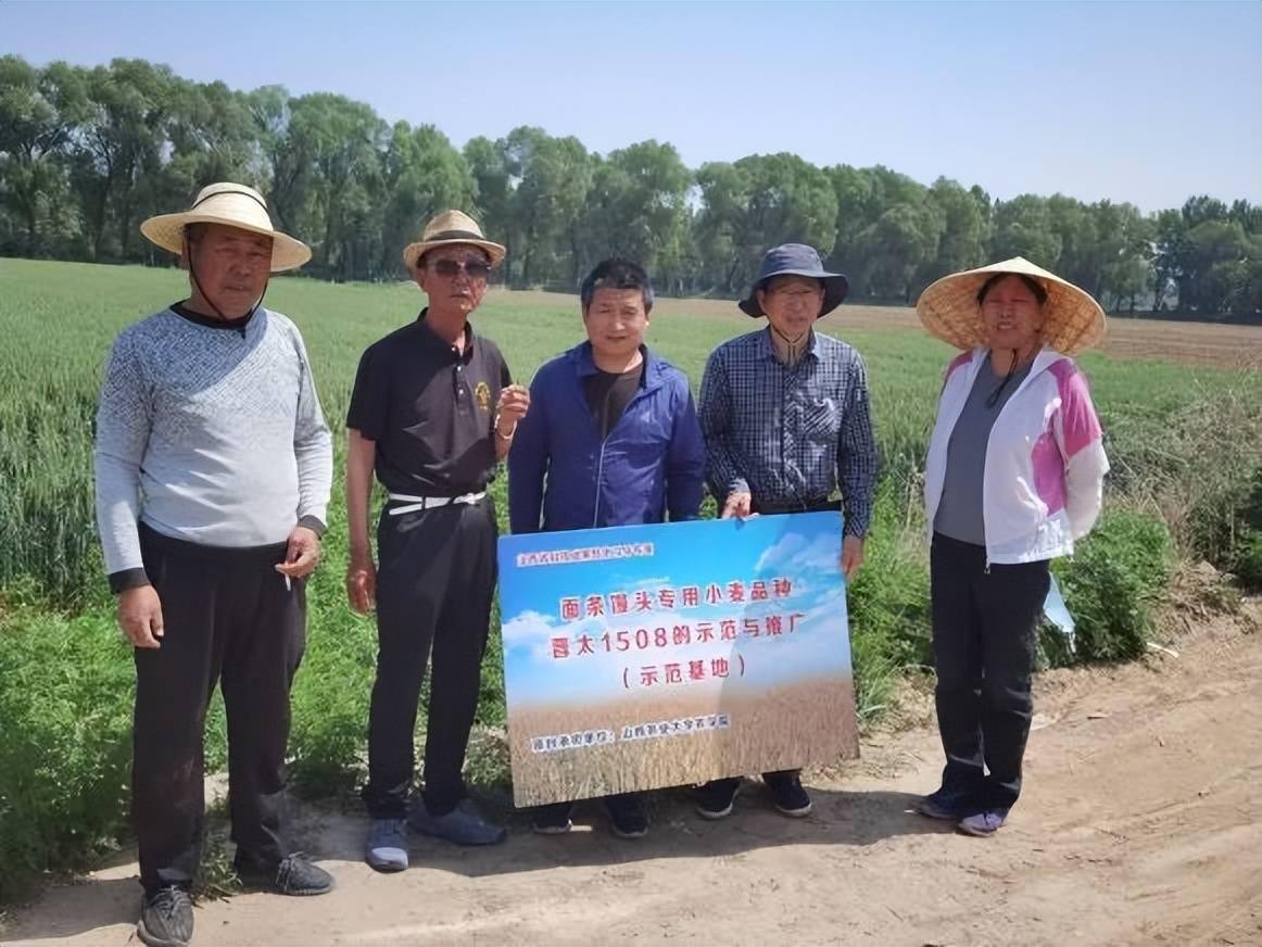 在定襄縣楊芳村,西河頭村建立有示範基地及原種基地160畝