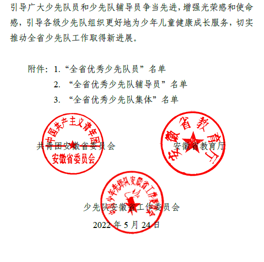 我市这些少先队集体和个人获评省级先进啦