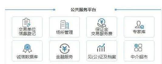 交易信息服务型公共平台特点