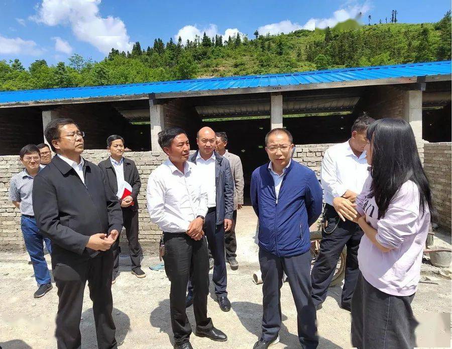 【人大要闻】侯美传赴盘州市调研"乡村振兴·代表在行动"示范点建设和