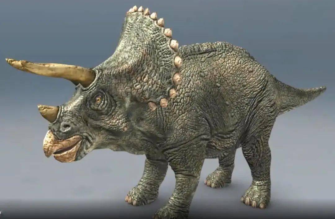 裸眼3d科普丨带你走进真实的恐龙世界