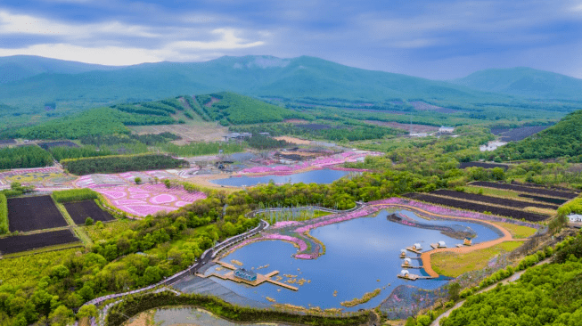 探寻东极！双鸭山推出两条夏季精品旅游线路