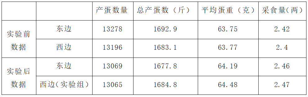 华北柴鸡产蛋率图片