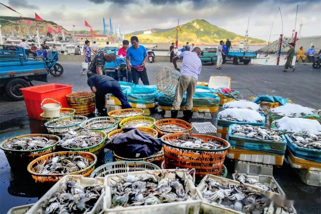 嵊泗海鲜的征程,从海上到餐桌,你了解吗?_礁石_舟山_大海