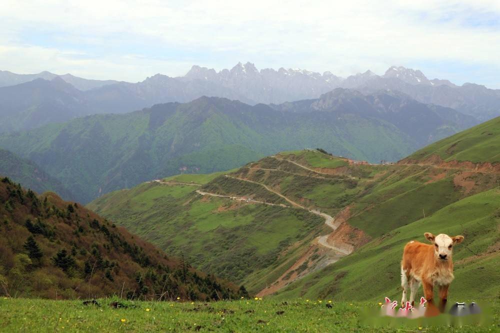 岷山铁尺梁图片