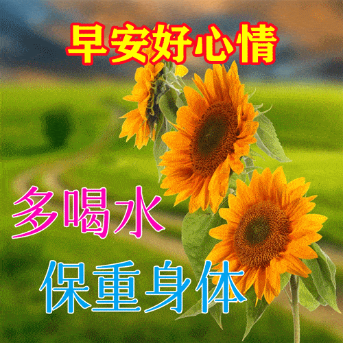 早上好表情包大全身体好心情好一生两个宝