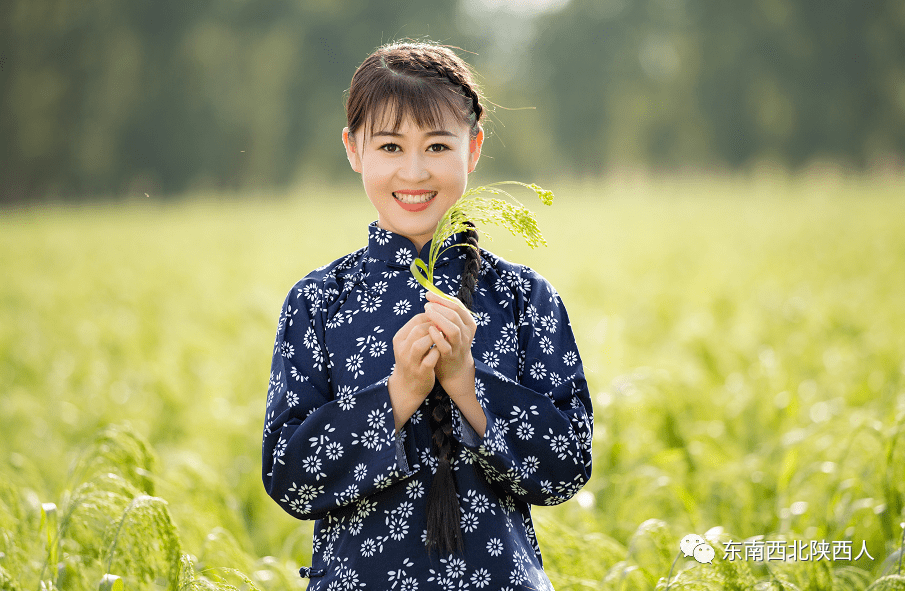 每天一歌陕北女娃娃咋看就像兰花花