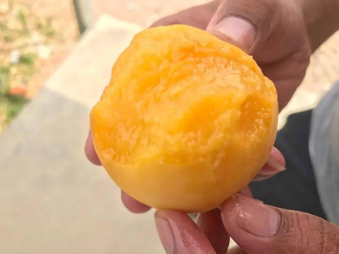 周末来这骨气鼓气羊棒骨双人餐秒杀联通校园卡500打两年