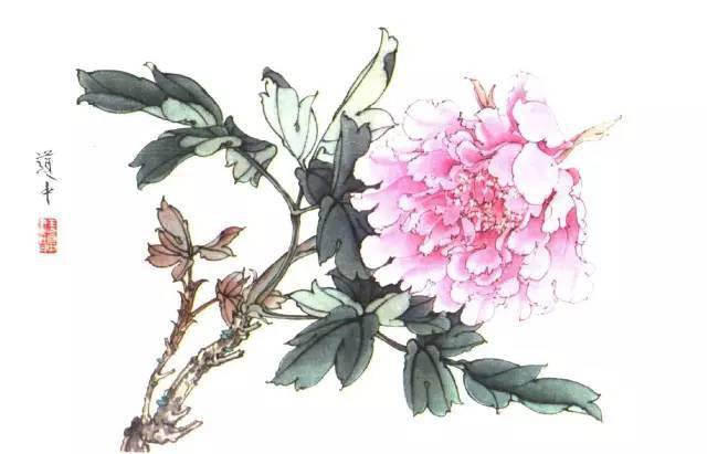 王道中我怎样画工笔牡丹