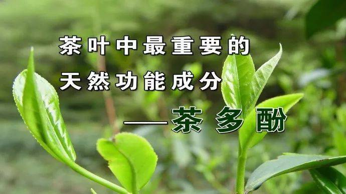 喝茶好处多茶的神奇功效