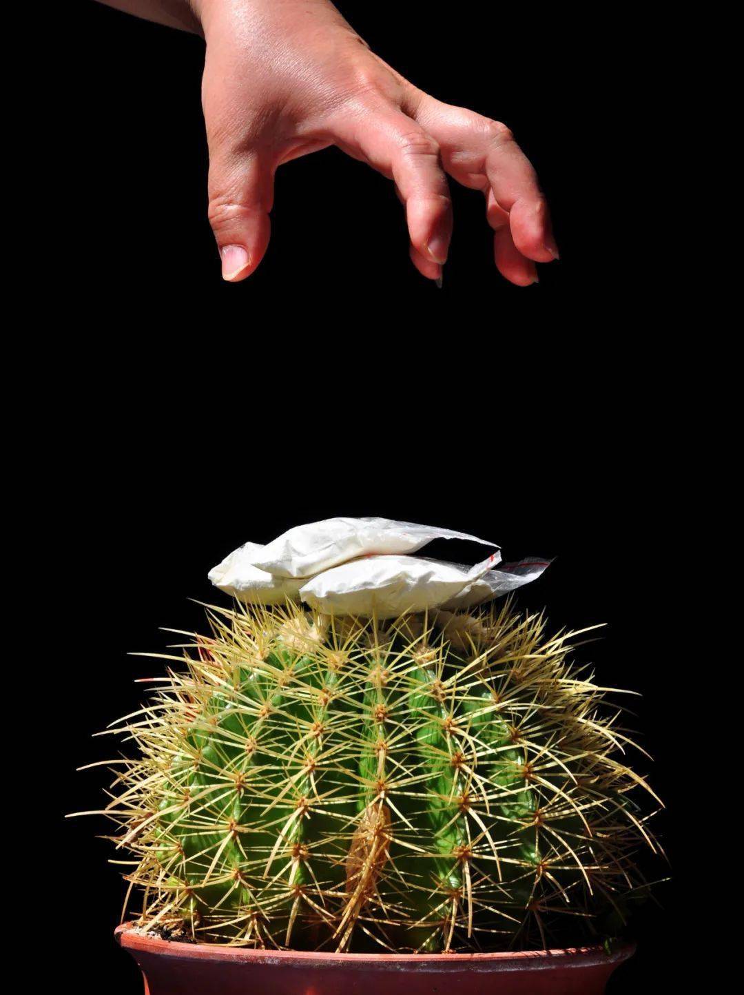 《莫伸手》杨红《校园禁毒教育》施金池《防艾宣传》