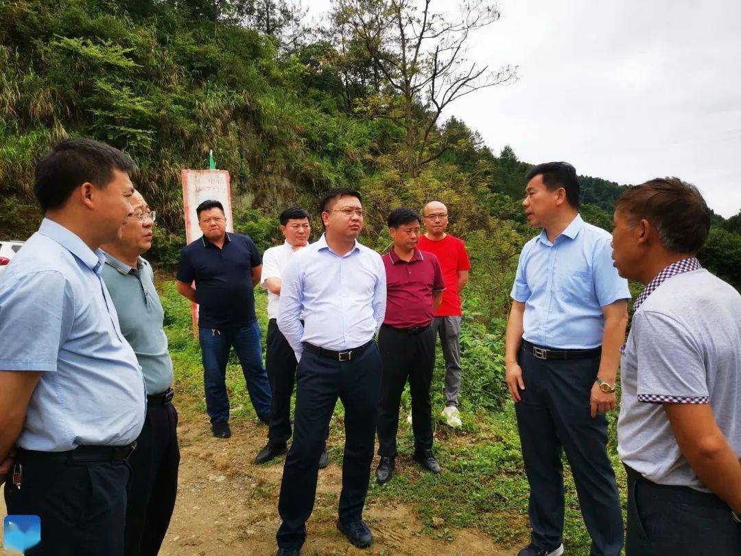 刘子恒调研防汛,地质灾害防治,富水湖水质提升等工作_隐患_监测_长渠