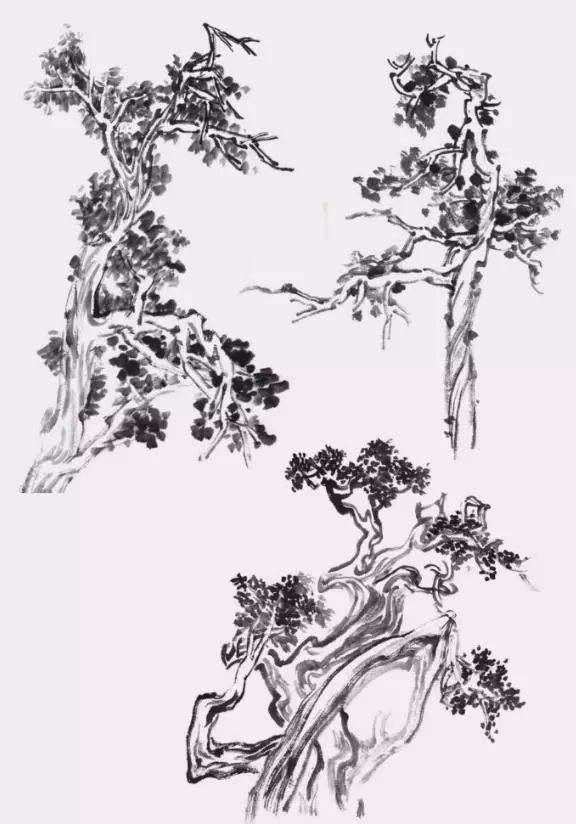 国画山水树的画法种类图片