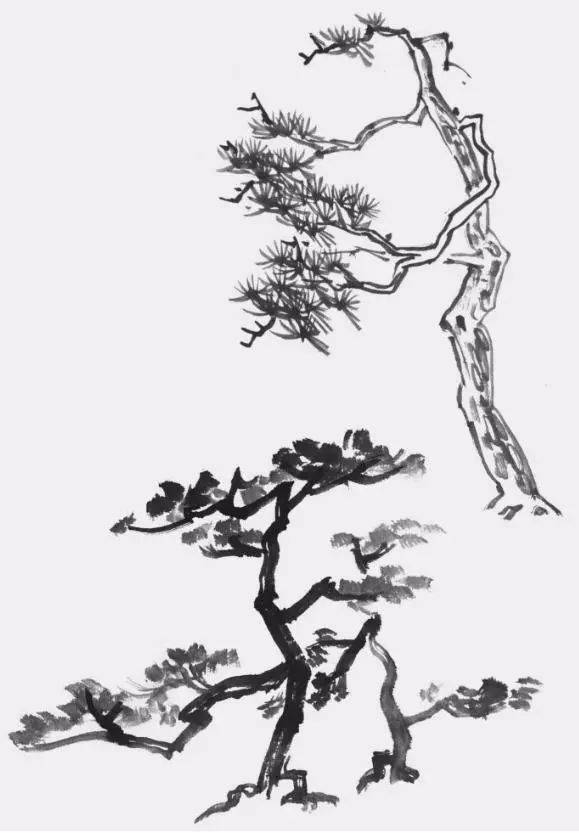 山水画中常见的松树,柏树,柳树,杂树的画法