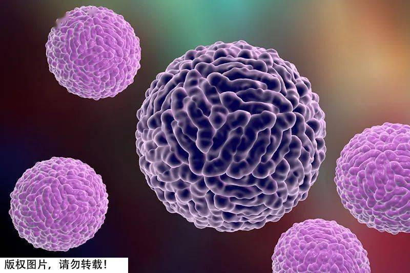 登革热是由登革病毒引起的一种急性蚊媒传染病,主要通过埃及伊蚊和白