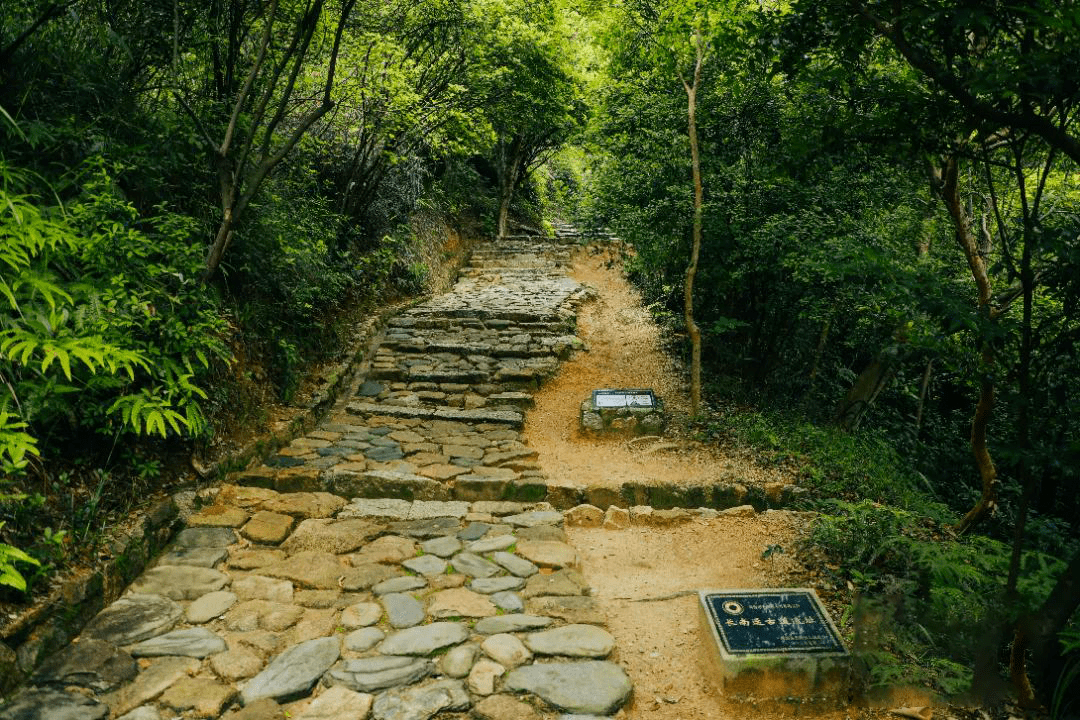 珠海上栅村图片