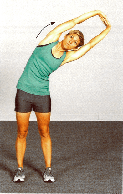 全身静态拉伸图示 每一个运动爱好者都应该了解掌握!_坐位_动作_分叉