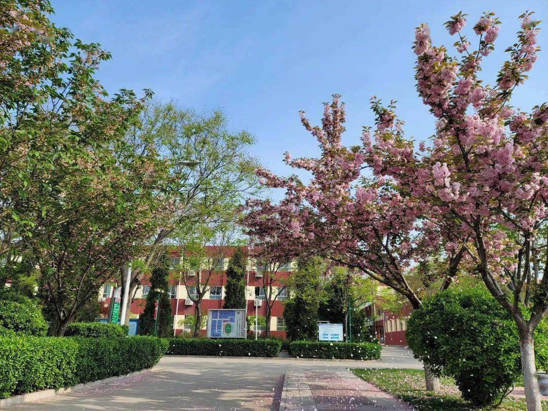 待遇优厚西咸新区泾华学校最新招聘中小学教师含营养师