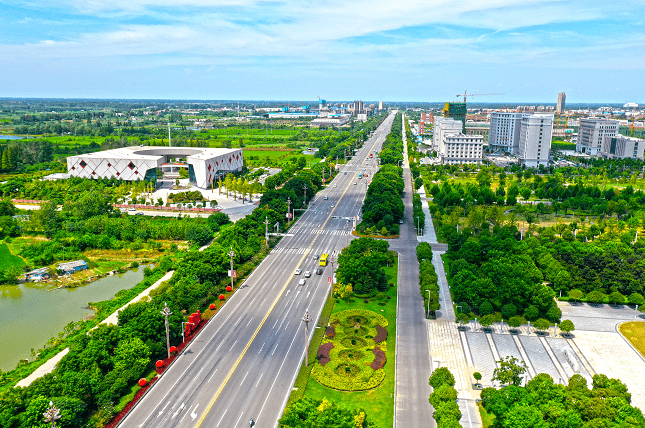 仙桃城区鲜花绿植屡失踪谁动了城市景观