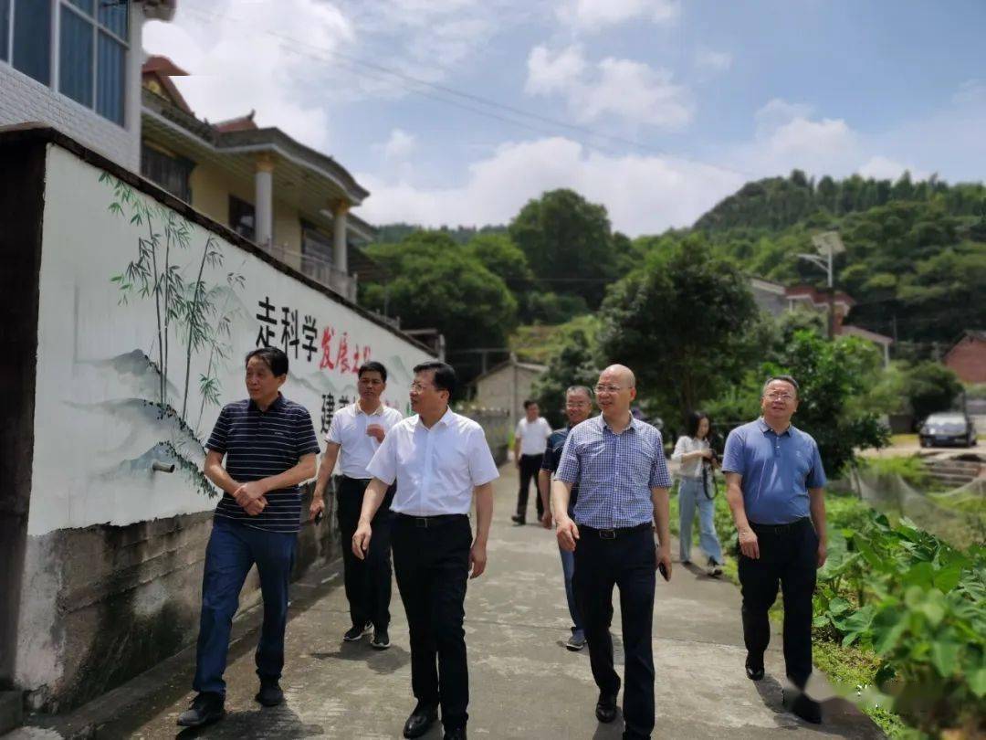 动态胡波到龙潭村调研指导乡村振兴工作
