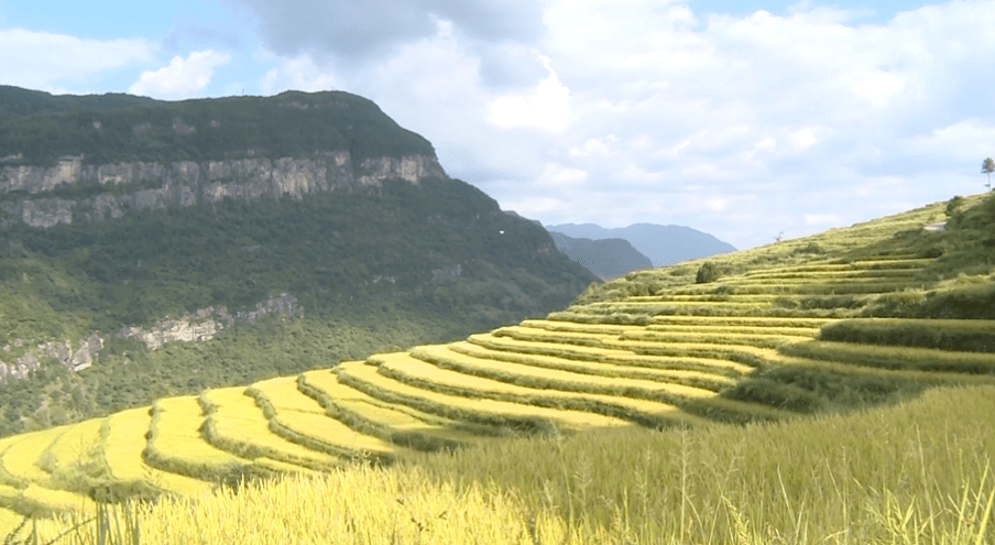 美丽乡村行丰都县栗子乡建龙村垄上新貌