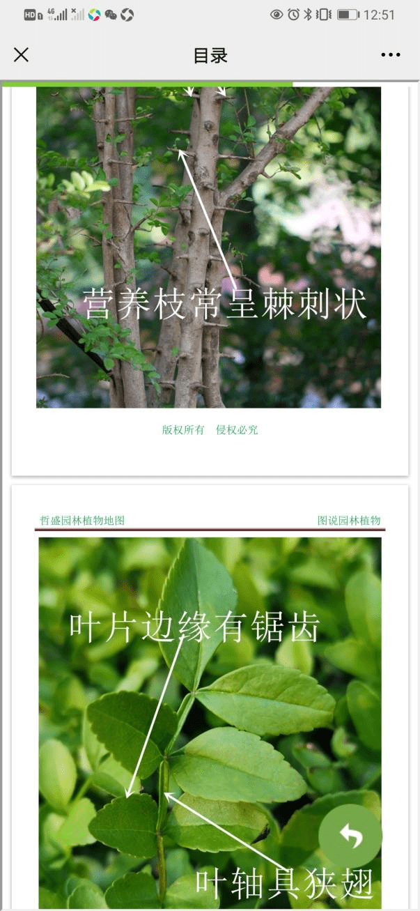 哲盛园林植物地图○网上园林植物园 园林人的好帮手关注公众号声明