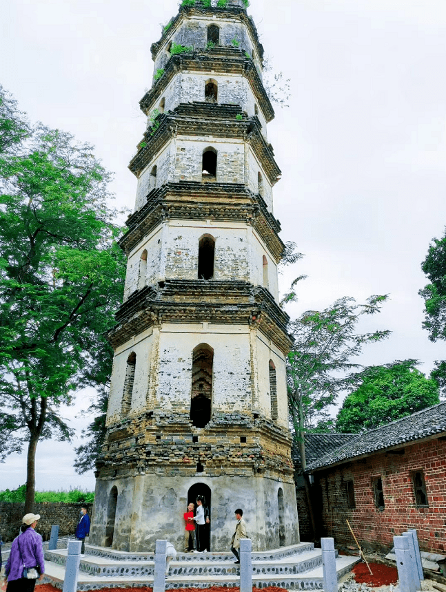 果香浓郁始兴黄桃采摘正当时还有这些景点值得打卡