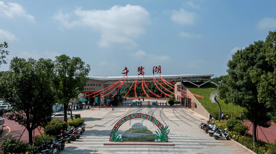 武平林改20年 | 千鹭湖由此得名,名不虚传!_湿地_白鹭_生态