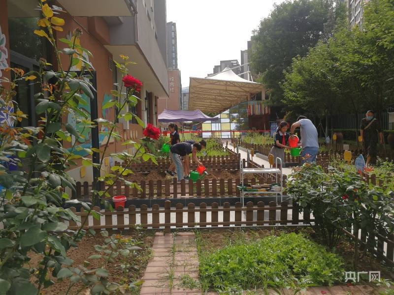 学校设菜园教室变厨房新式劳动课让丰收味道走进校园