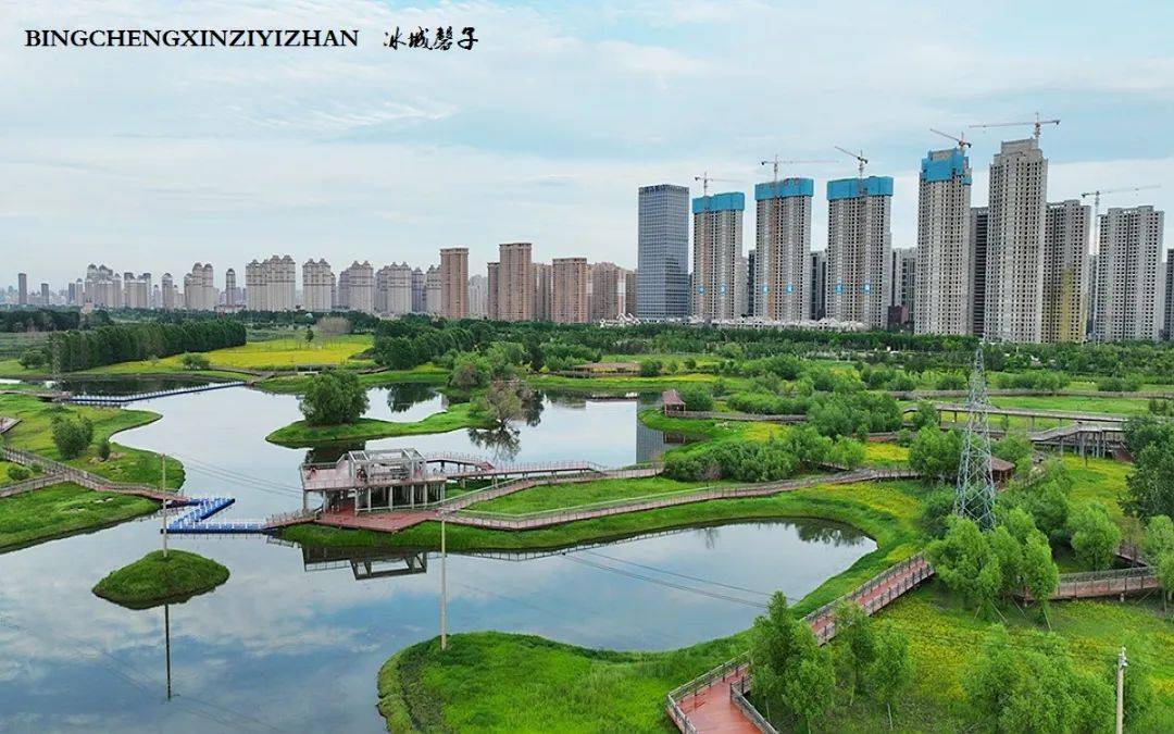 此时正是最好的花期,去群力外滩湿地公园赏花吧.
