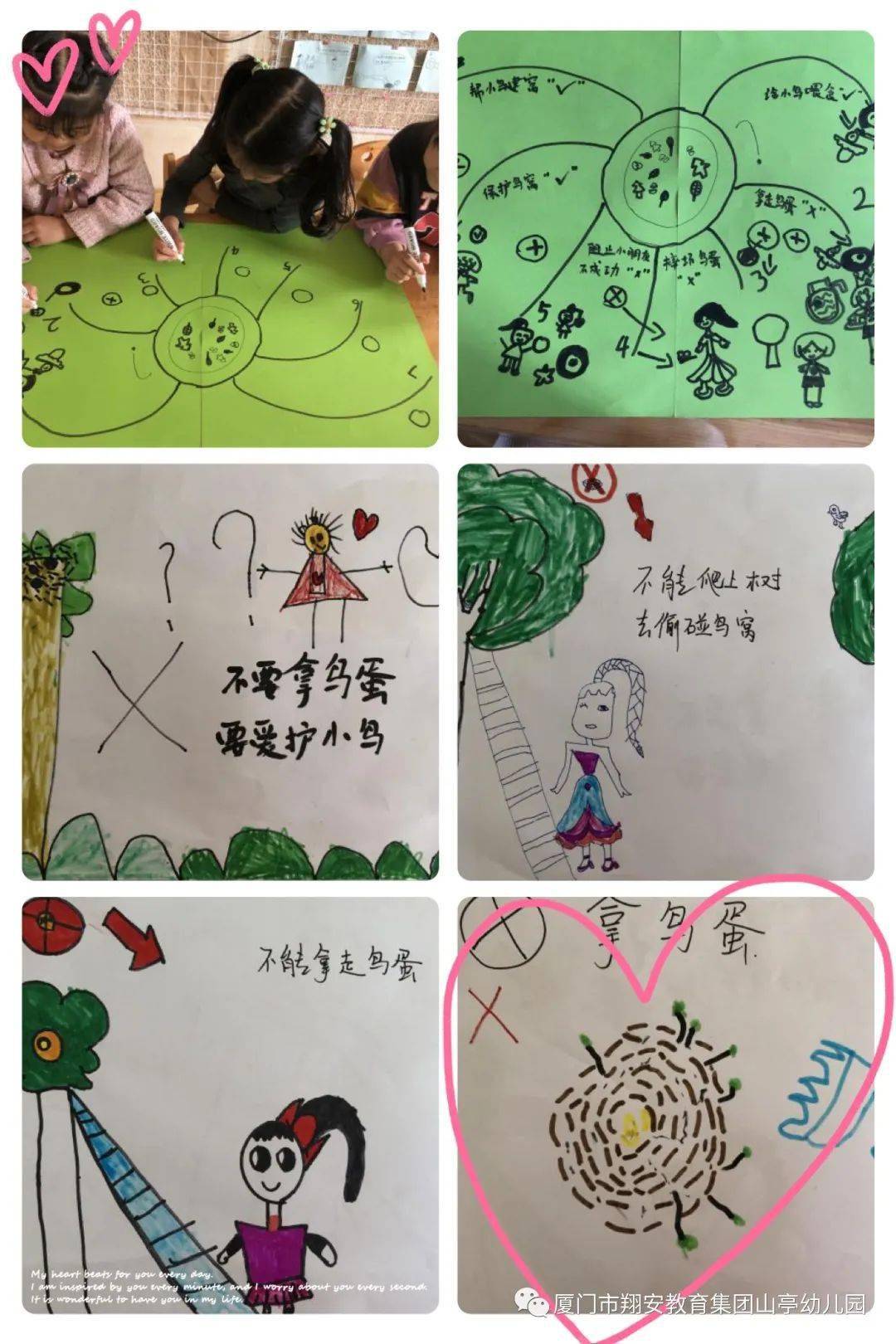 【课程故事】探秘鸟窝 | 厦门市翔安教育集团山亭幼儿园大二班活动