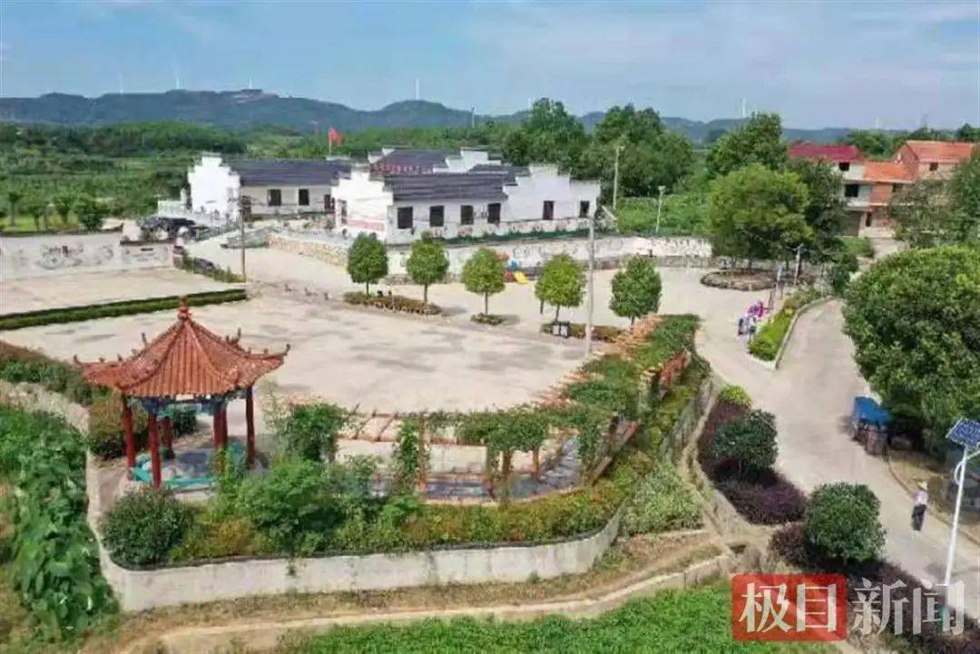 四望镇大蒋村四小园绘就乡村美丽画卷