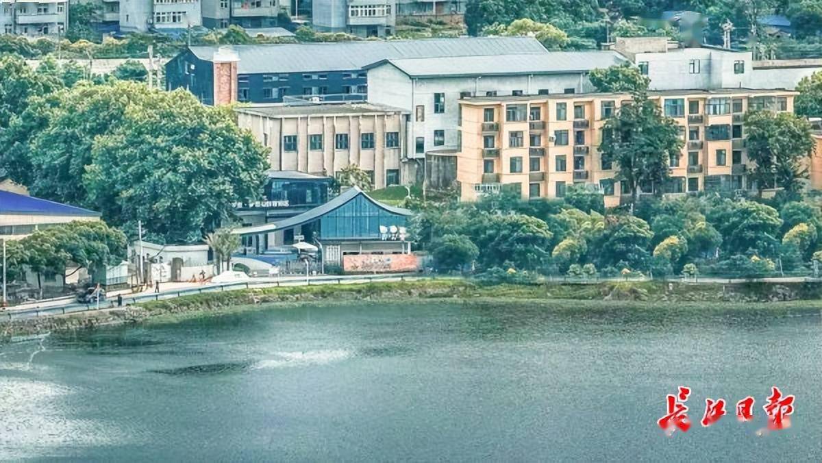 新地标华农里梦想岛直播产业园开园啦