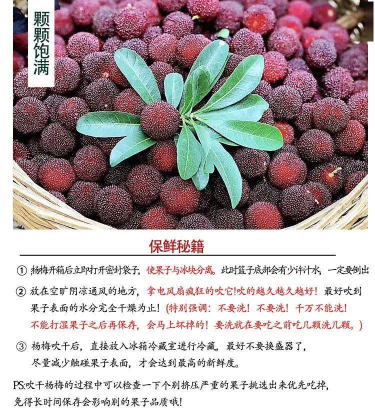 仙居东魁杨梅快递到家流口水超大超甜的仙居杨梅来了