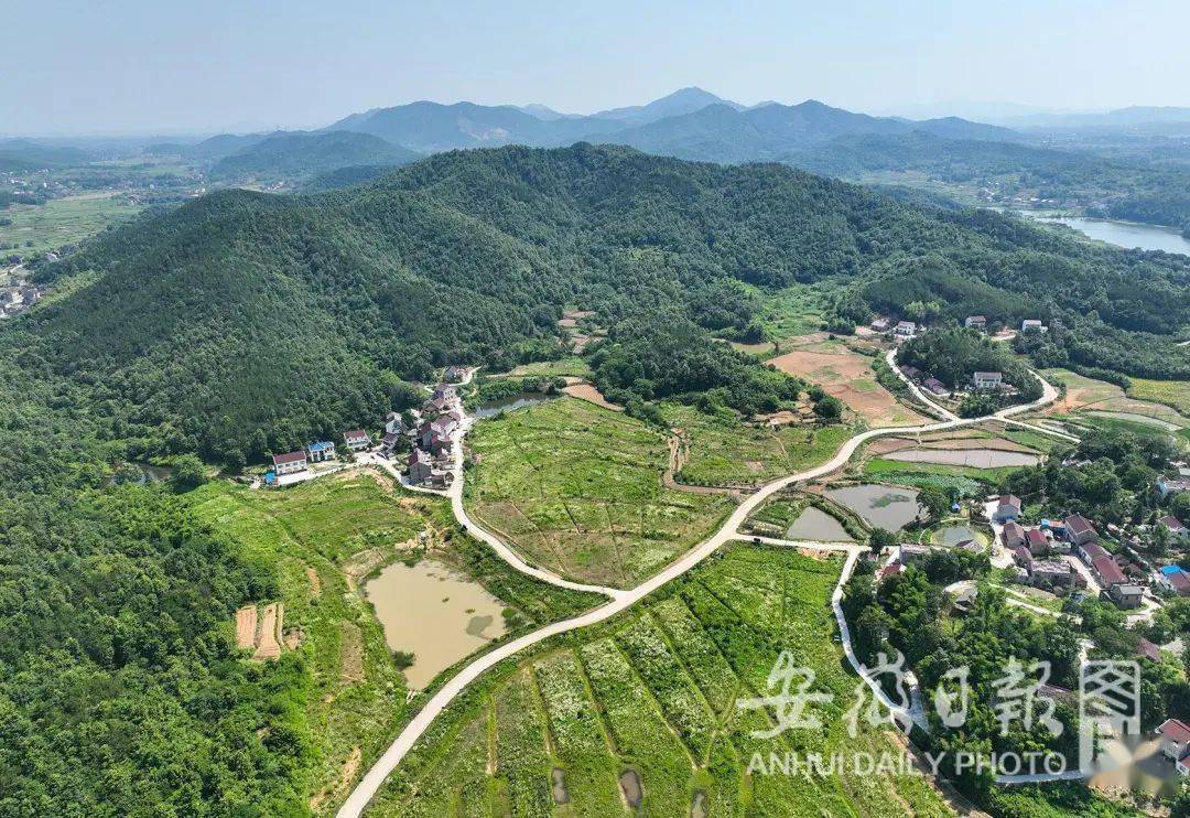 6月16日,庐江县罗河镇黄龙村周边的乡村交通路网.