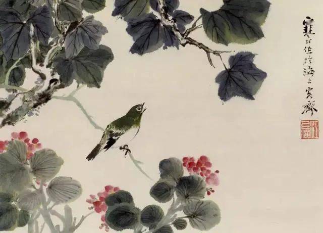 花脸 芙蓉花金头雀 迎春花印度八哥 婆萝树雪眉 春鹃虎皮翠 佛手子规