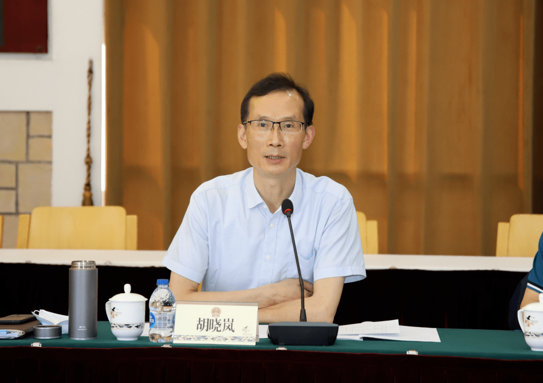 胡晓岚在讲话中充分肯定了代表意见工作取得的成绩,并提出了具体要求