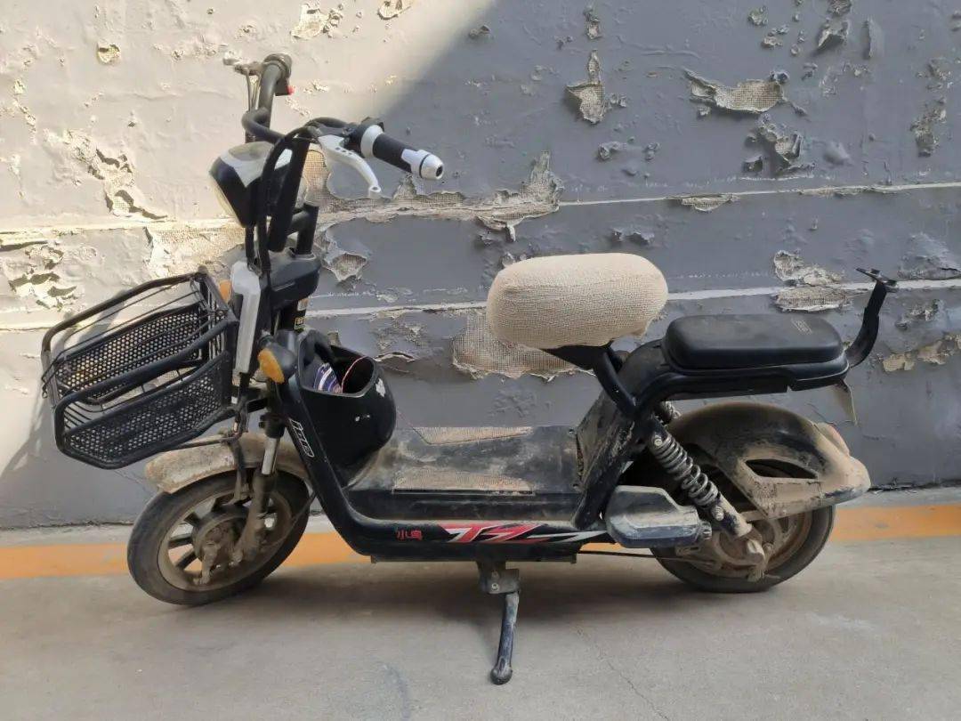 赛 克新 日台 铃赛 鸽雅 乐 骑红色雅乐骑牌二轮电动车五 羊神州大运