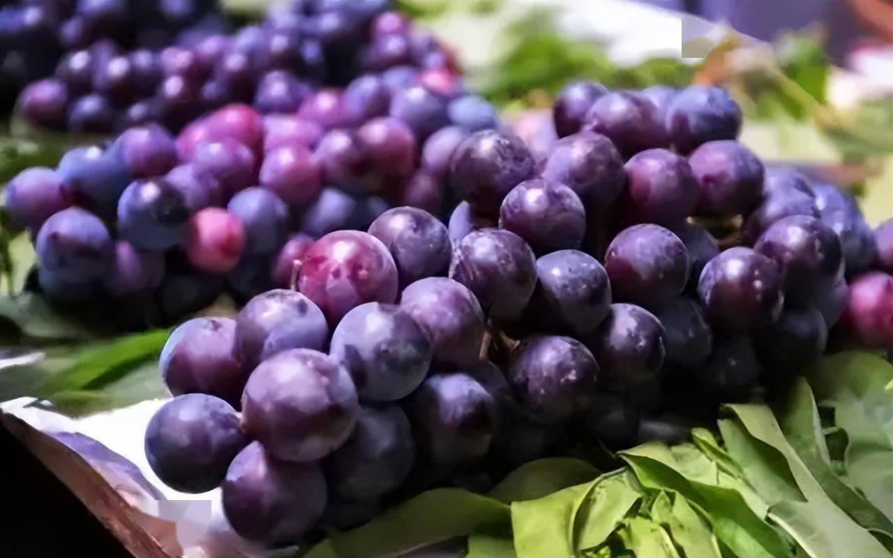 肝不好能吃葡萄吗?医生提示:夏季养肝,5种饮食尽可能不吃