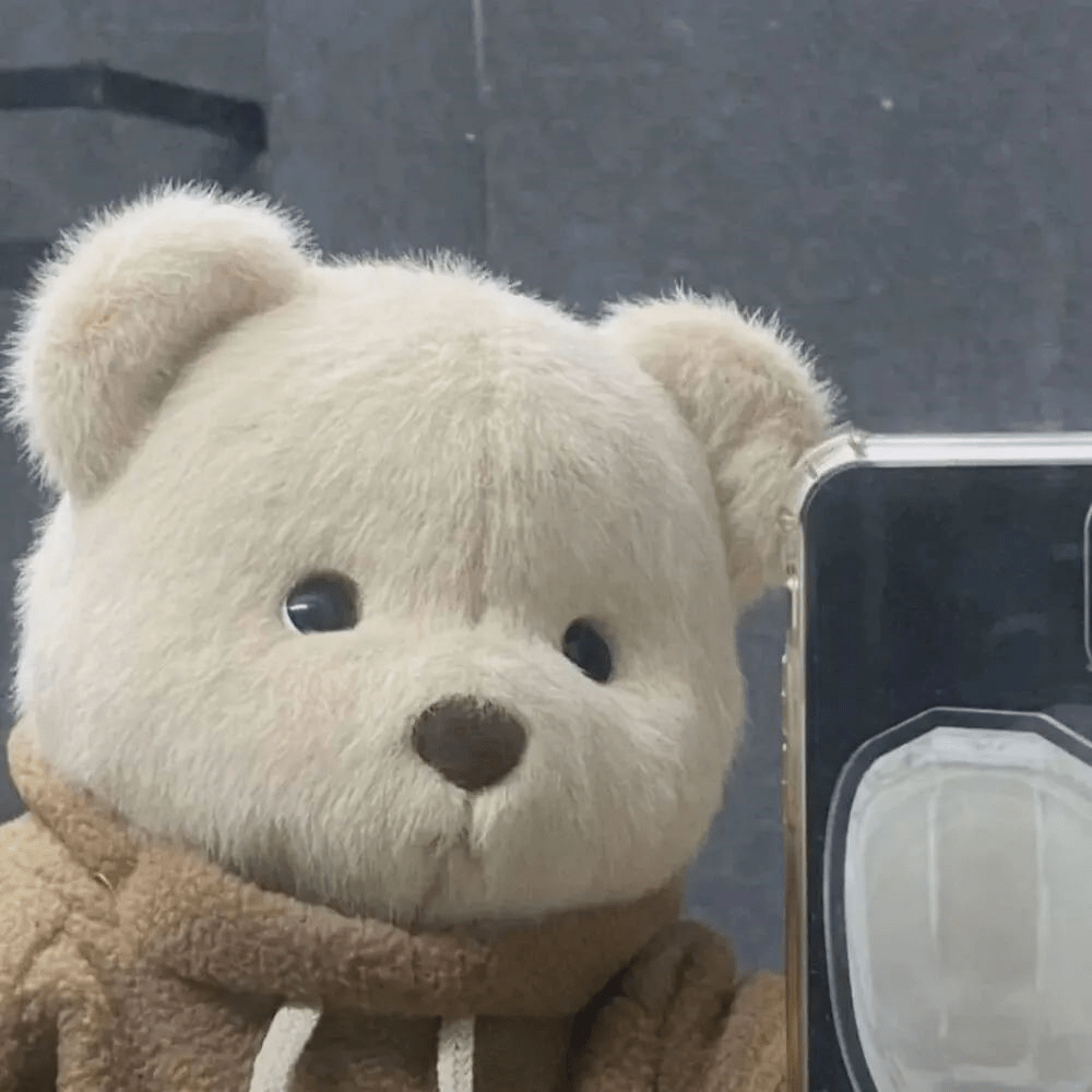 你不要命你要浪漫你退出来种玫瑰别人都在种麦子有些人一旦错过就是一