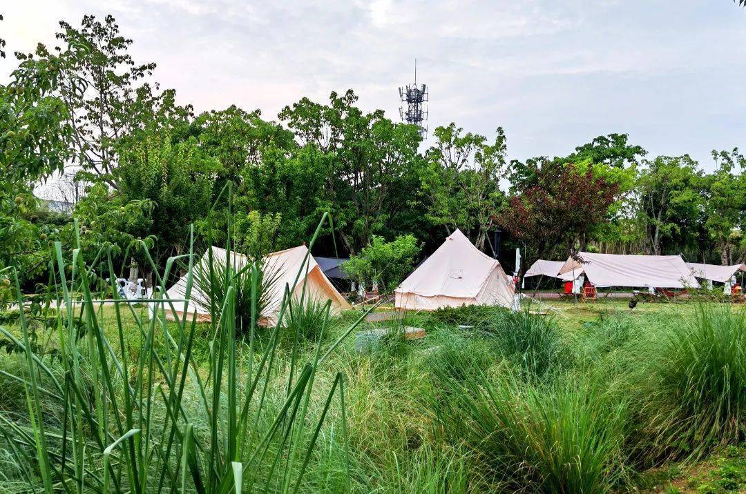 露营地,房车驿站都有,还不去"野"吗?| 成华融媒_配套_公园_游客