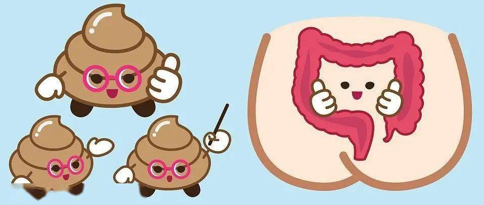 大便的异常臭味可以进一步分为腥臭,酸臭或恶臭味.