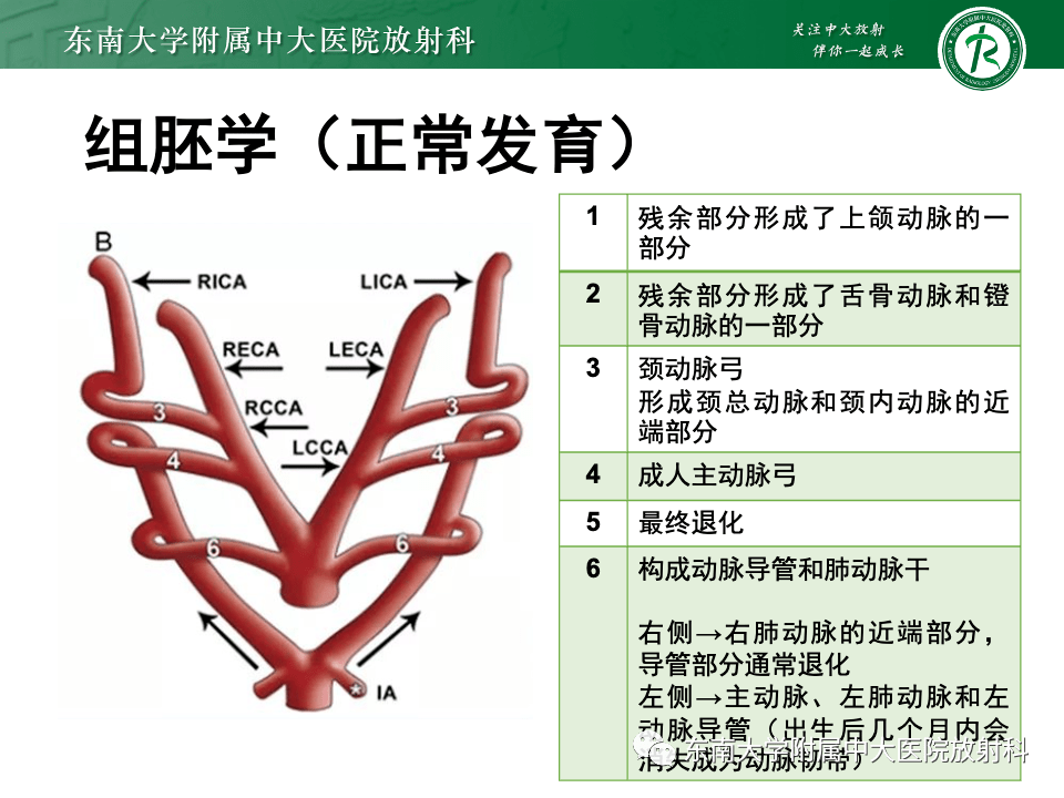 ct平掃 心臟彩超 肺動脈cta胸部x線正位影像學表現既往史: 有心臟