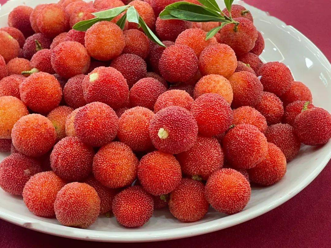 萧山杨梅荣获杭州市首届优质杨梅评比第一名3款杨梅获区级金奖