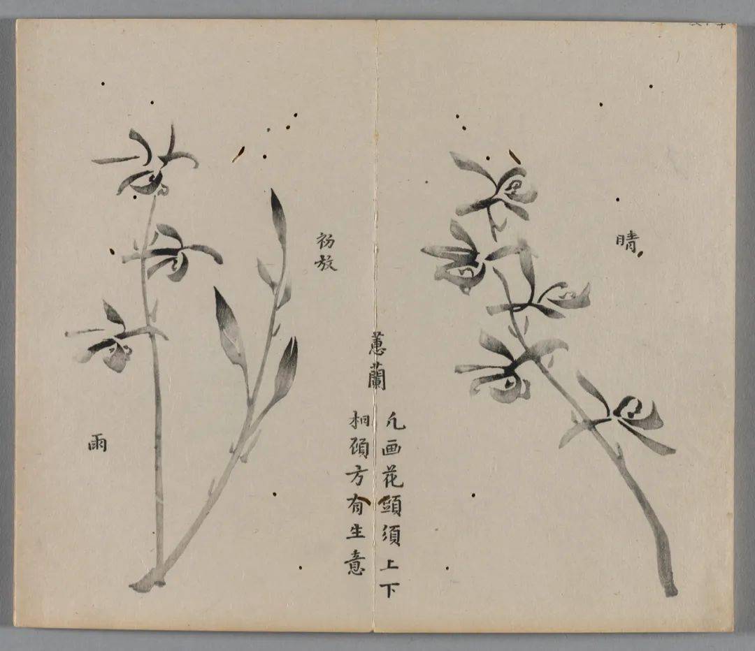 十竹斋兰谱（克利夫兰艺术博物馆藏本）_Chinese_平台_Ten