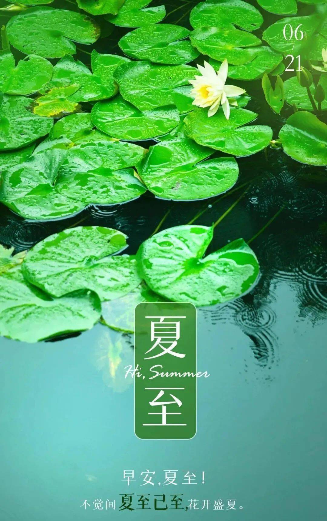夏至,祝你长夏安康!_夏日里_祝长安_诗意