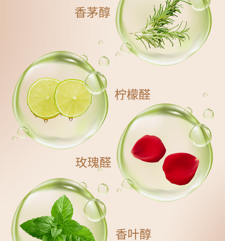 香茅醇,香叶醇,玫瑰醇,柠檬醇,橙花醇……都能散发出让蚊子非常讨厌的