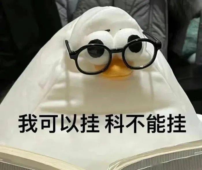 叮您的假期账户已充值成功