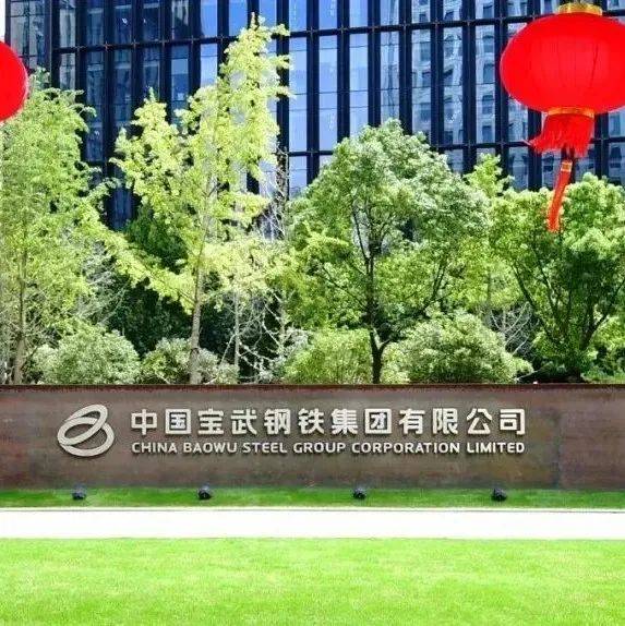 中国宝武正式转为国有资本投资公司_企业_国务院国资委_整合
